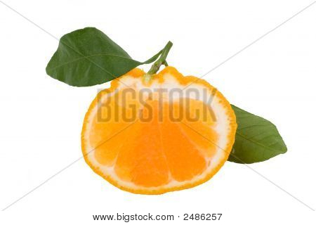 Siivu Hallabong (Korean oranssi) kaksi vihreät lehdet