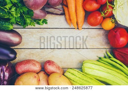 Different Bio Vegetables. Selective Focus. Bio Food.