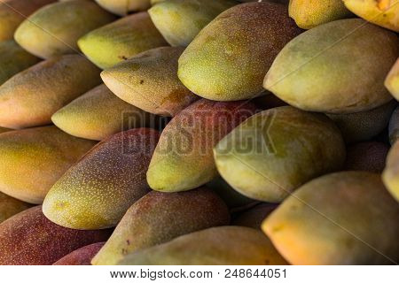 Fresh Colorful Tropical Mangoes On Display At Outdoor Farmers Market