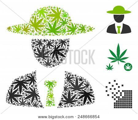 Agronomist Chief Composition Of Marijuana Leaves In Different Sizes And Color Hues. Vector Flat Gras