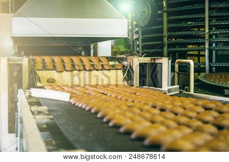 Cakes On Automatic Conveyor Belt Or Line, Process Of Baking In Confectionery Culinary Factory Or Pla