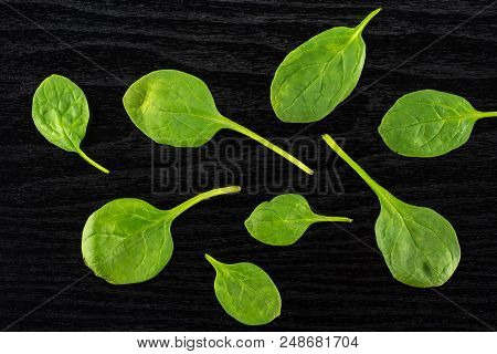 Fresh Baby Spinach Leaves Top View On Black Wood Background