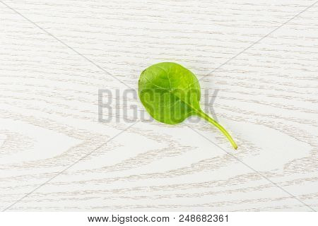 Fresh Baby Spinach Top View On Grey Wood Background One Green Single Leaf