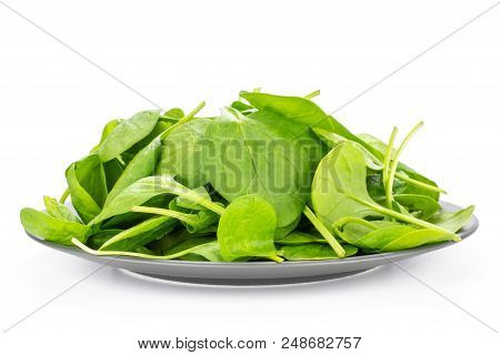 Fresh Baby Spinach Leaves Stack On A Grey Ceramic Plate Isolated On White Background
