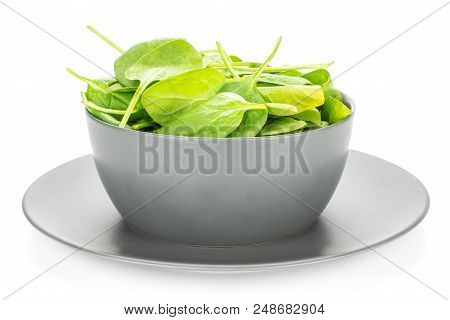 Fresh Baby Spinach Leaves In A Grey Ceramic Bowl Isolated On White Background