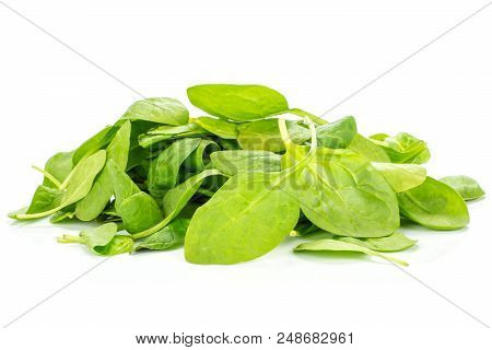 Fresh Baby Spinach Stack Isolated On White Background Group Of Leaves