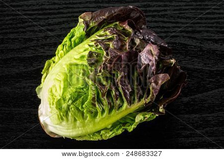 One Whole Fresh Green Lettuce Red Little Gem Variety Flatlay On Black Wood