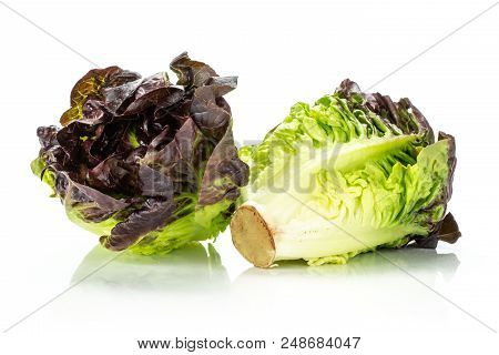 Group Of Two Whole Fresh Green Lettuce Red Little Gem Variety Pair Of Heads Isolated On White