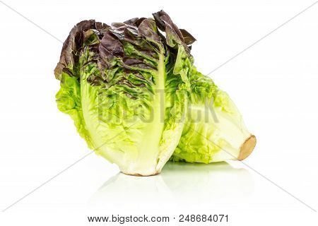 Group Of Two Whole Fresh Green Lettuce Red Little Gem Variety Two Heads Isolated On White