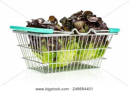 Group Of Two Whole Fresh Green Lettuce Red Little Gem Variety In A Shopping Basket Isolated On White