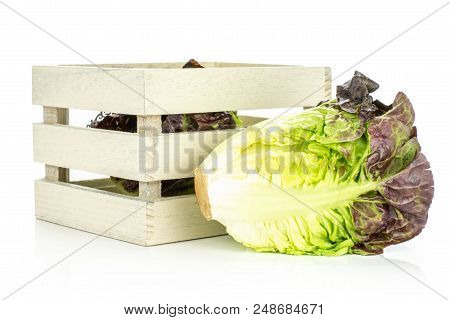 One Whole Fresh Green Lettuce Red Little Gem Variety In A Wooden Box Isolated On White