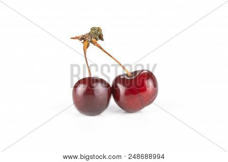 Group Of Two Whole Sweet Bright Red Cherry With A Joined Stem Isolated On White