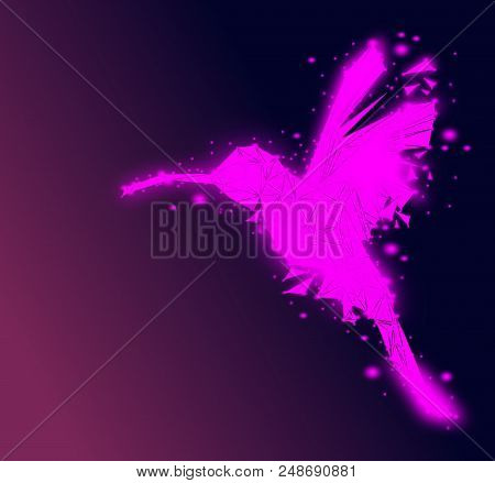 Isolated Low Poly Colorful Hummingbird With Rainbow Back Ground,animal Geometric,vector.