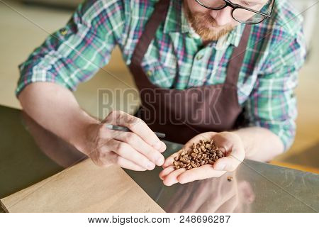 Crop Shot Portrait Of Modern Barista Holding Handful Of Fresh Coffee Beans And Checking Quality Of R