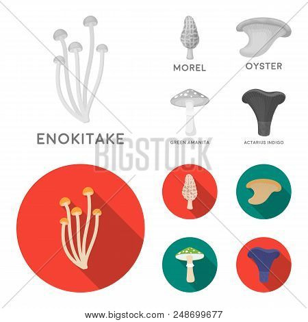Morel, Oyster, Green Amanita, Actariu , Indigo. Set Collection Icons In Monochrome, Flat Style Vecto