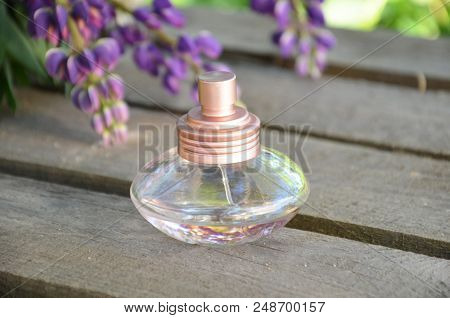 Perfume And Aromatic Oils Bottles Surrounded By Fresh Purpel Flower