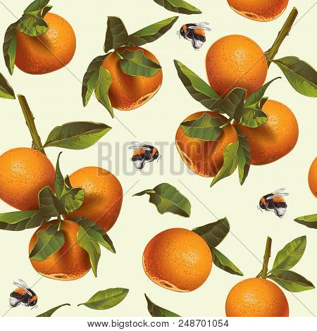 Vector Citrus Seamless Pattern With Mandarin Fruit And Bumblebee. Background Design For Tea, Juice, 