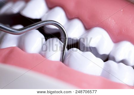 Dentist Cleaning Teeth