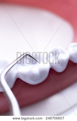 Dentist Cleaning Teeth