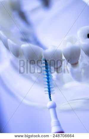 Interdental Teeth Clean Brush