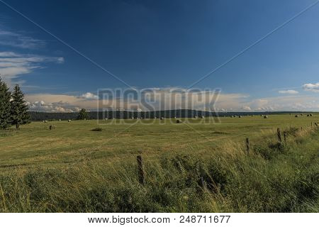 Field In Slavkovsky Les Mountains In Summer Sunny Sunset Evening Near Krizky Area