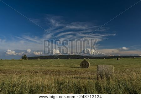 Field In Slavkovsky Les Mountains In Summer Sunny Sunset Evening Near Krizky Area