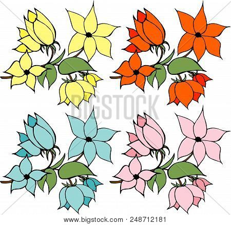 Four Flowers - Orange, Blue, Yellow And Pink On White Background.