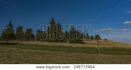Slavkovsky Les Mountains In Summer Sunny Sunset Evening Near Krizky Area