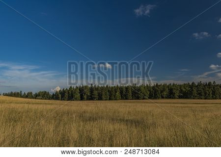 Slavkovsky Les Mountains In Summer Sunny Sunset Evening Near Krizky Area