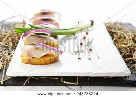 Herring Canape with Potato and Onion on Natural Rustic Background. Beautiful Creative Sea Food Design of Fish Fillet with Scallions on Dry Hay and Black Slate