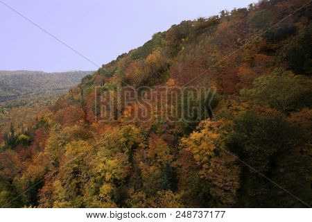 The Colors Of Autumn Near Agawa Canyon, Canada
