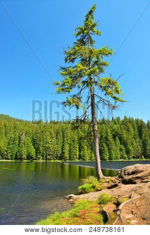Moraine lake Grosser Arbersee in National park Bavarian forest. Germany.