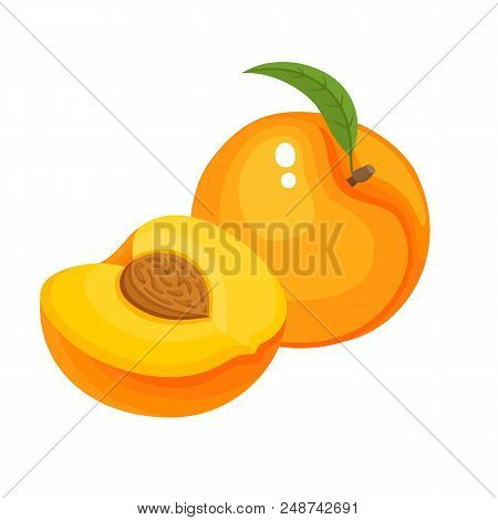 Bright Vector Set Of Colorful Half And Whole Of Juicy Peach. Fresh Cartoon Peaches Isolated On White