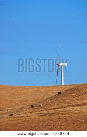 Moderno mulino a vento In California