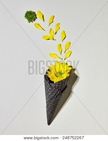 Beautiful yellow daisy in a waffle cone on a gray background, the petals are lined beautifully in a row.