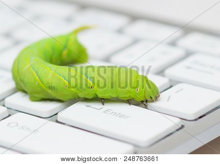 Computer Security Breach Due To Worm Attack