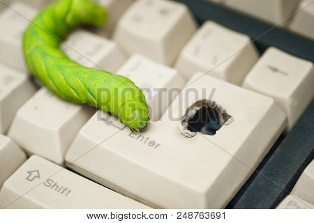 Computer Security Breach Due To Worm Attack