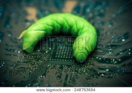 Computer Security Breach Due To Worm Attack