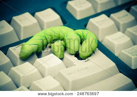 Computer Security Breach Due To Worm Attack
