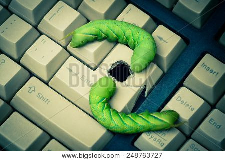 Computer Security Breach Due To Worm Attack