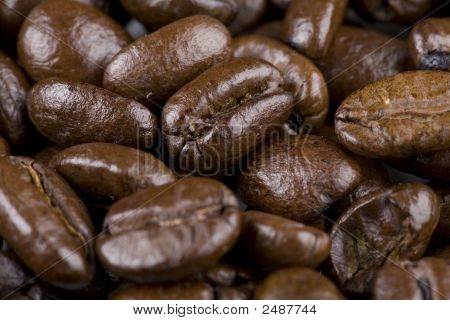 Granos de café