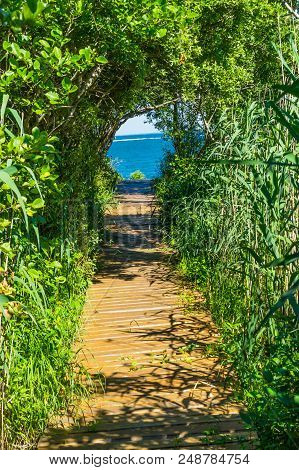 Beach Ocean Path Boardwalk Forest Green Trees Padnaram Dartmouth Massachusetts Atlantic Ocean