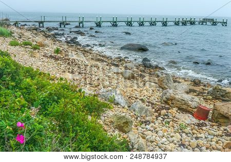 Foggy Morning Stony Beach Pier Pink Roses Buzzards Bay Ocean Path Padnaram Dartmouth Massachusetts A