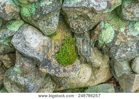 Green Mossy Old Stone Wall New England Padnaram Dartmouth Massachusetts. Stone Walls Were Built In T