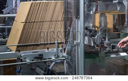 Fully Automatic Carton - Box Erector Machine