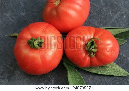 Organic tomato from rural permaculture. Home country garden.