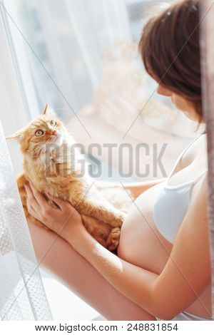 Pregnant Woman In White Underwear With Cute Ginger Cat. Young Woman Expecting A Baby. Risk Of Infect