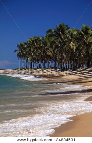 Maceio Gunga