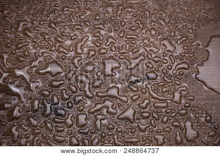 Texture Of A Tree With Lots Of A Drop Of Water Close-up