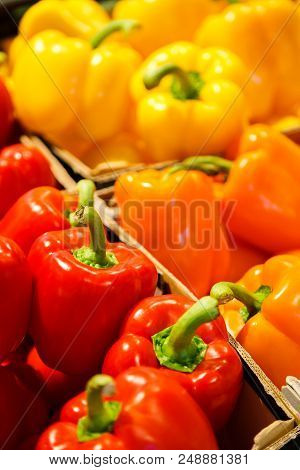Colourful Mix Of Different Red, Orange, Yellow Fresh Bell Pepper At Market.